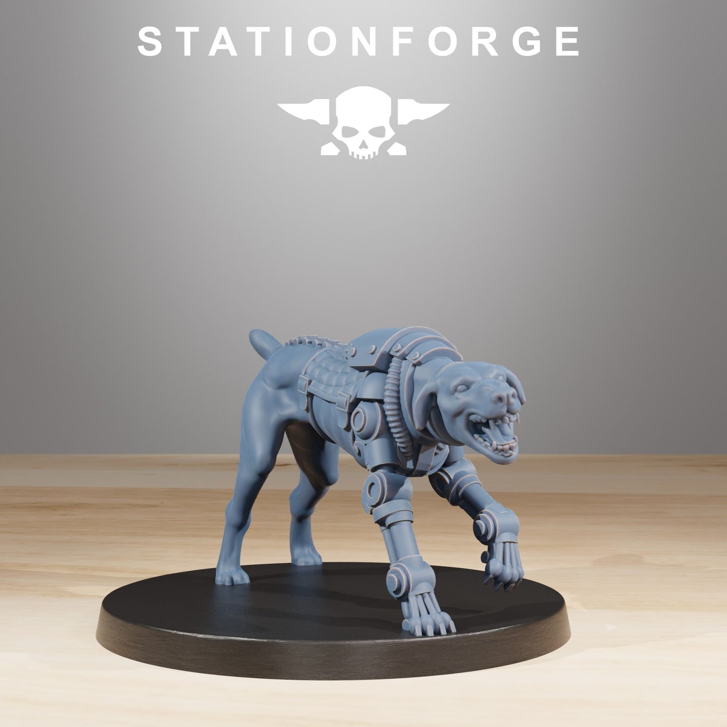 Imperial Soldiers of the Royal Guard x11, Starfly Division