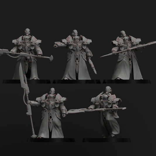 Diverging Realms - White Tower Guard Custodians - Vestalian Chamberlains x 5