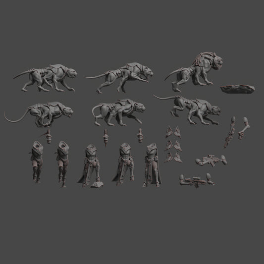 Diverging Realms - Sisters of the Coven Huntress Clade