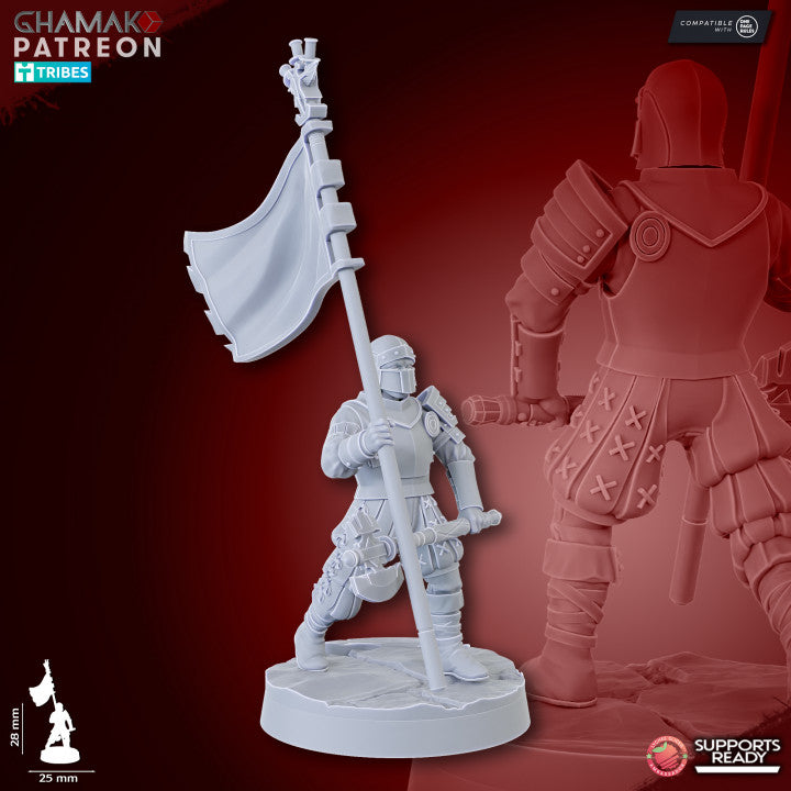 Armies of the Old Empire - Heavy Swordmen x 10, Infantrymen
