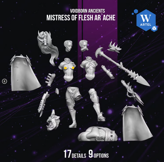 Artel W, Dark Voidborn Ancients, Arena Mistress D'aggia, Eldar Ones, Succubus